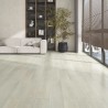 SPC Flooring